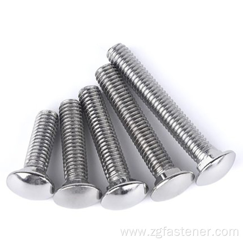 304 Stainless steel carriage bolt DIN603 carriage bolt